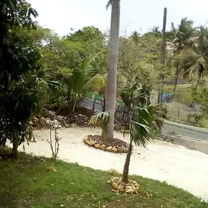 Maison d'hôtes Les Violettes, Morne-a-l'Eau